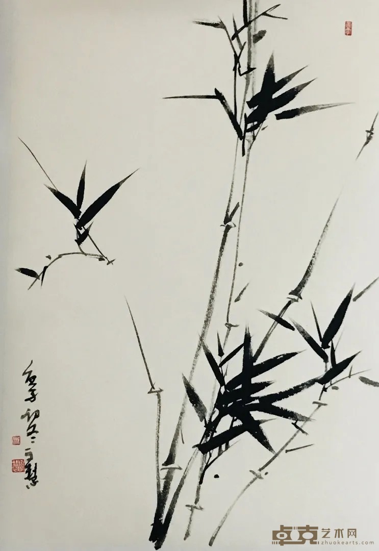 庚子春一日一茶 戚学慧