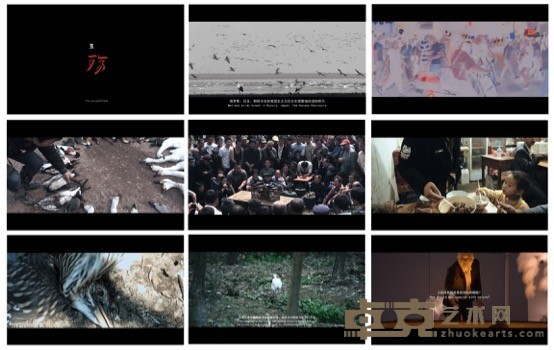 《鸟殇》 冯放 11’3” 2020年 影像