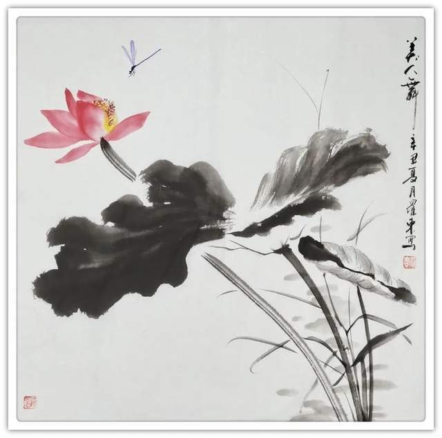 美人舞
