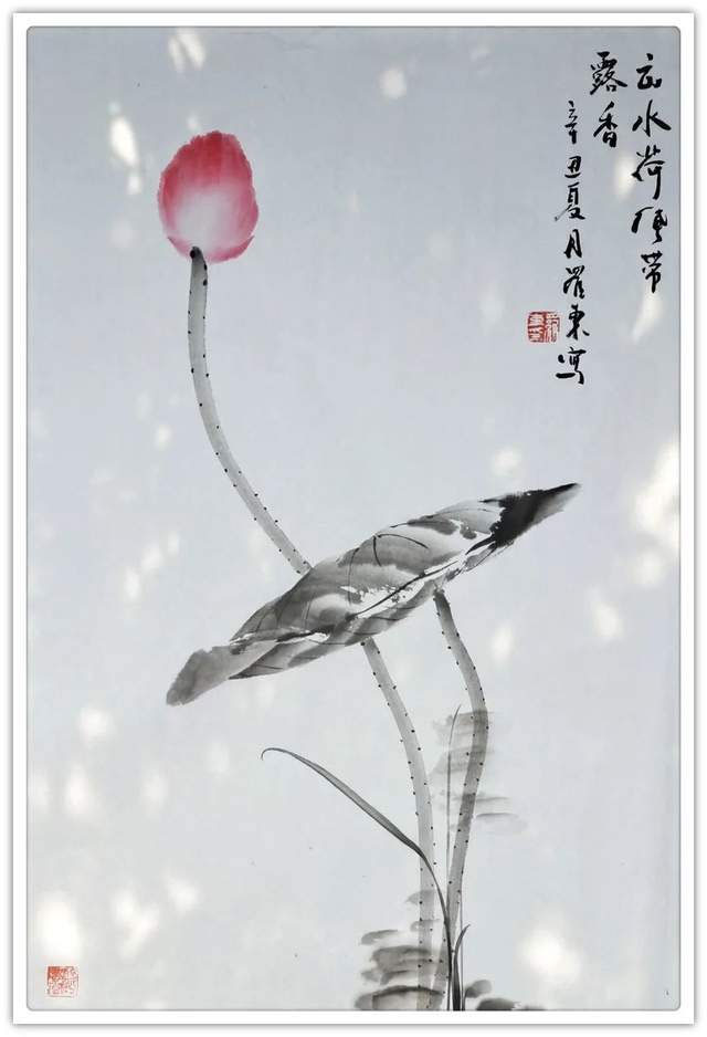 云水荷花带露香