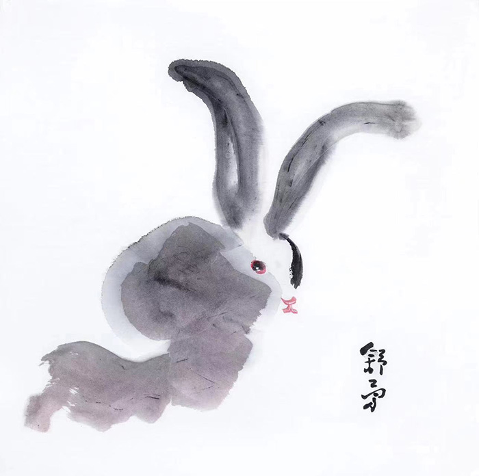 兔子9