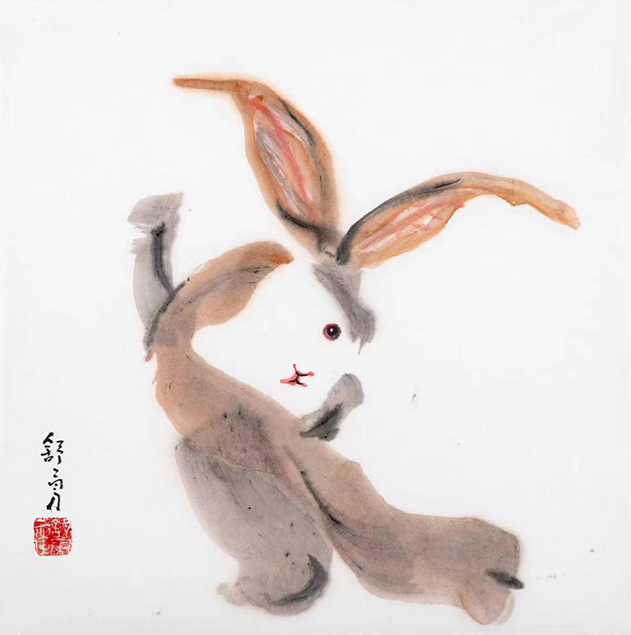 兔子6