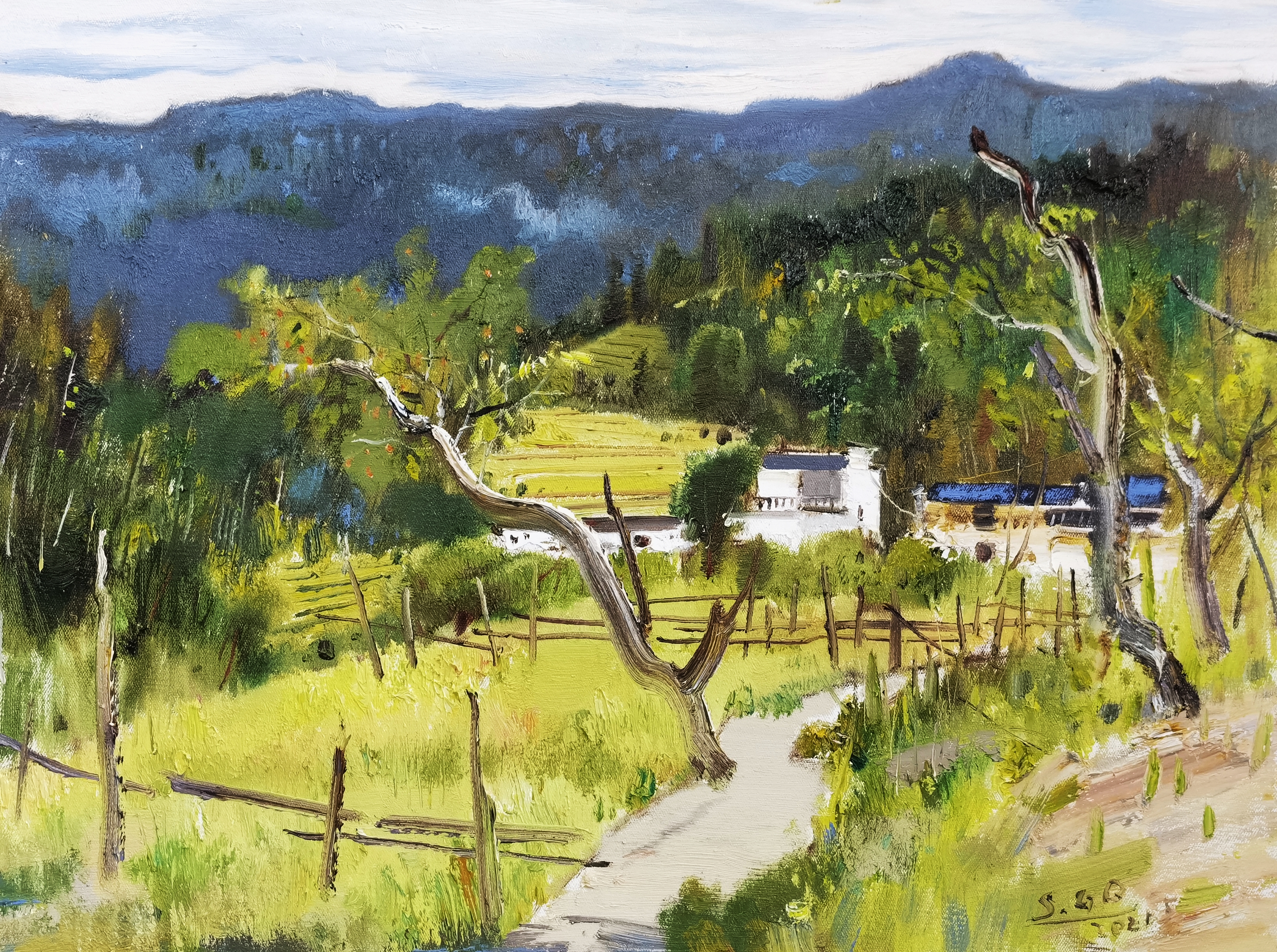 婺源花开系列1780x60cm