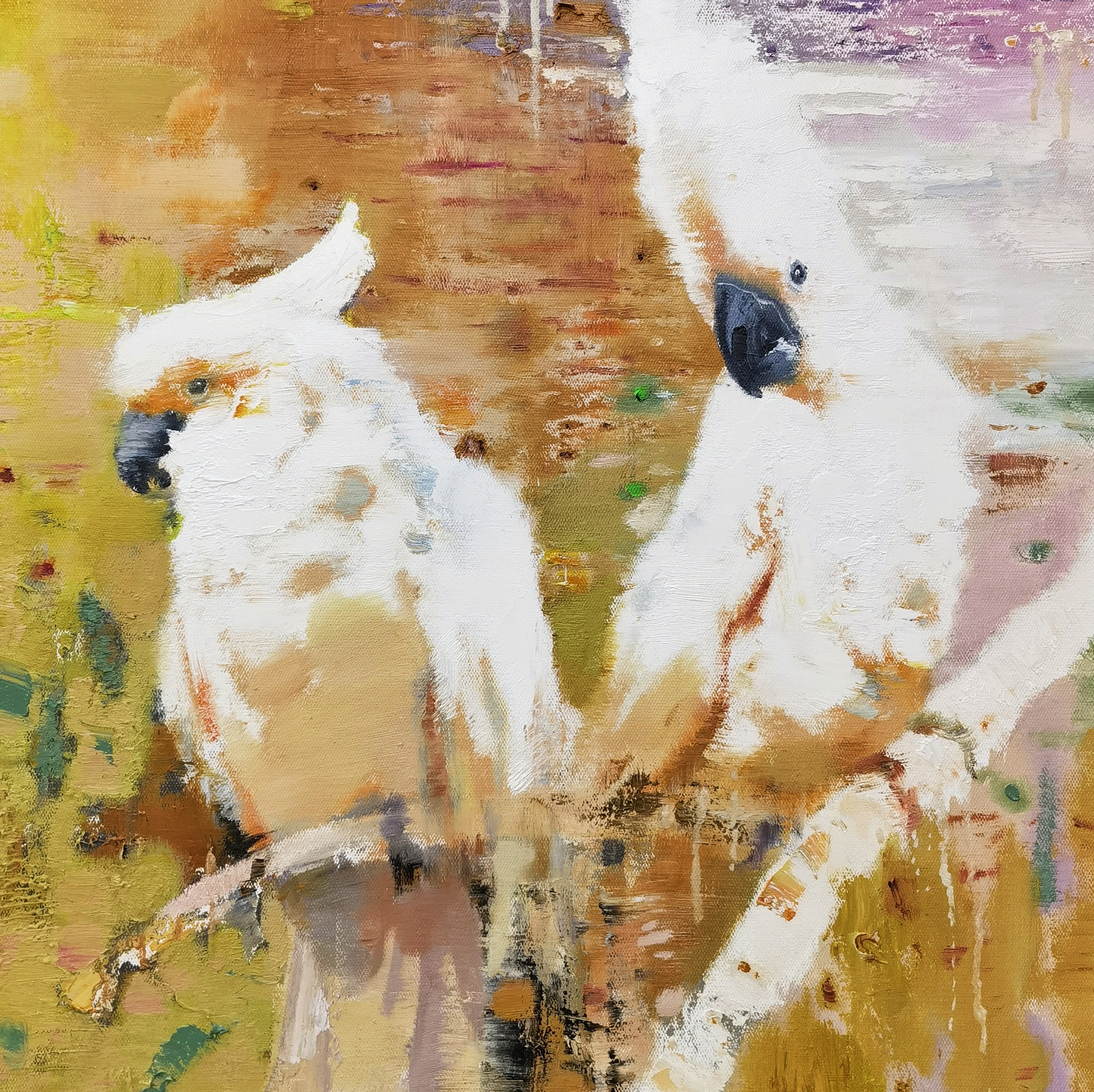 鹦鹉系列960x60cm