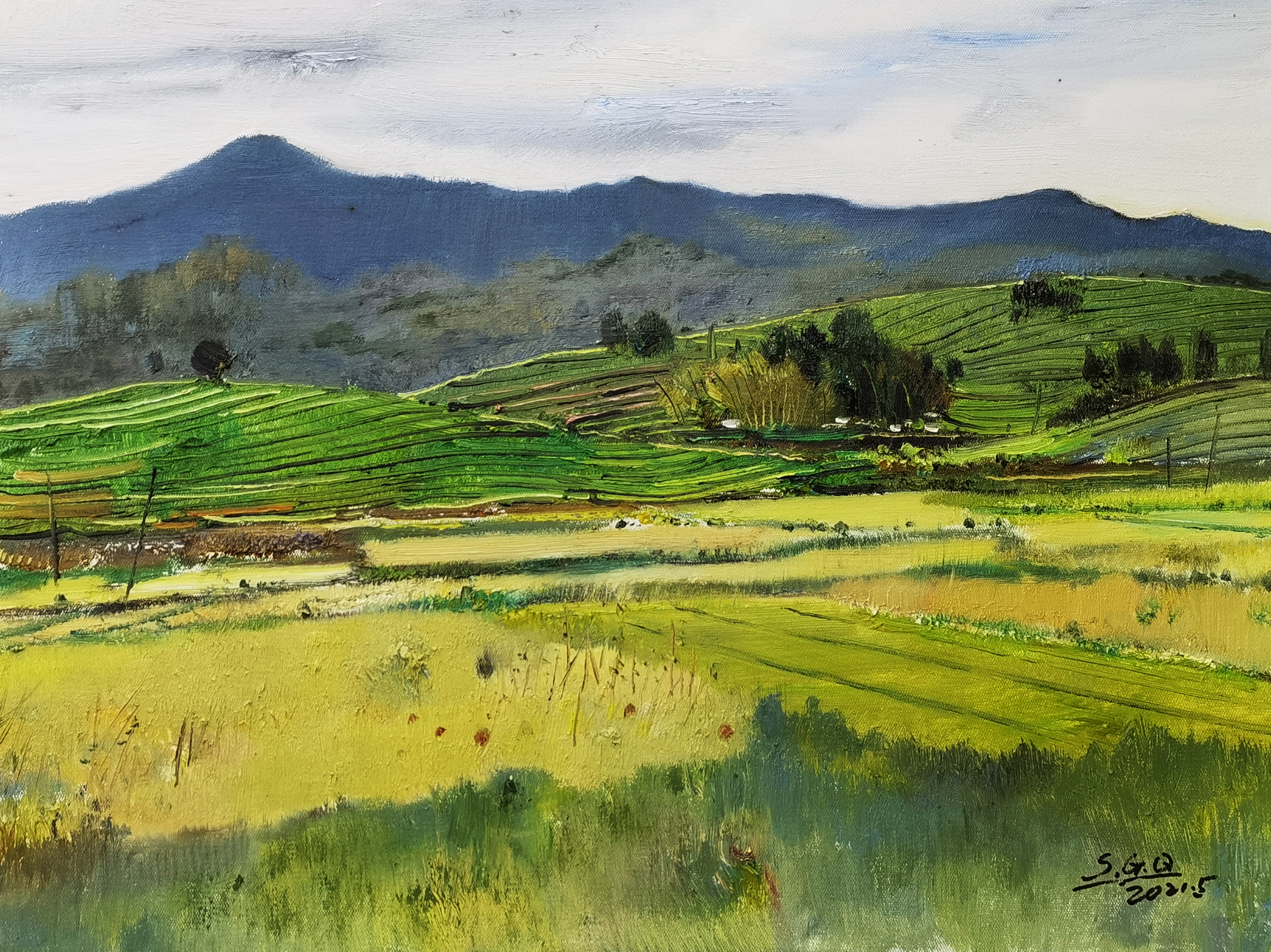 婺源花开系列1480x60cm