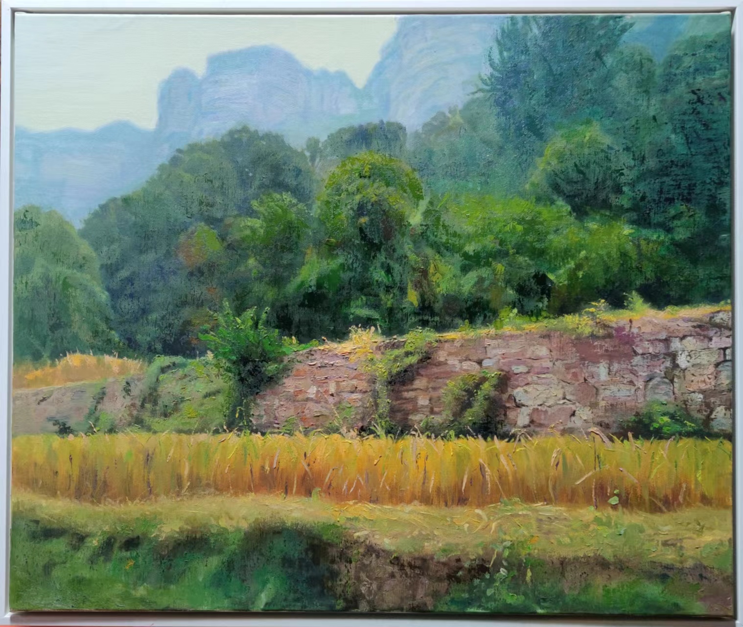 风景