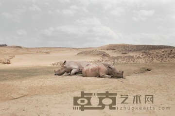 赵仁辉-第35板，没有角的犀牛.jpg