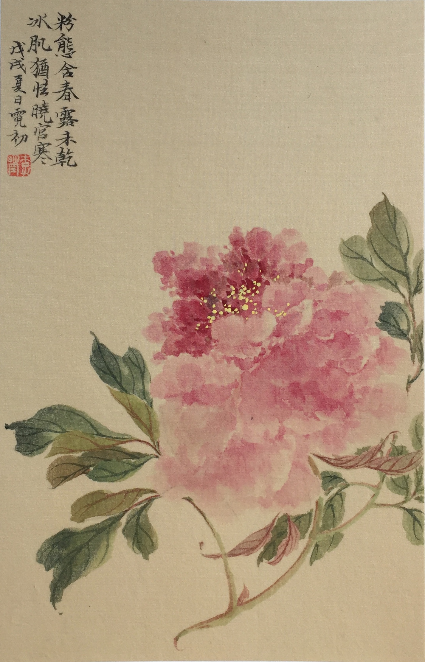 春夏清赏册__粉态含春牡丹18cmx28cm