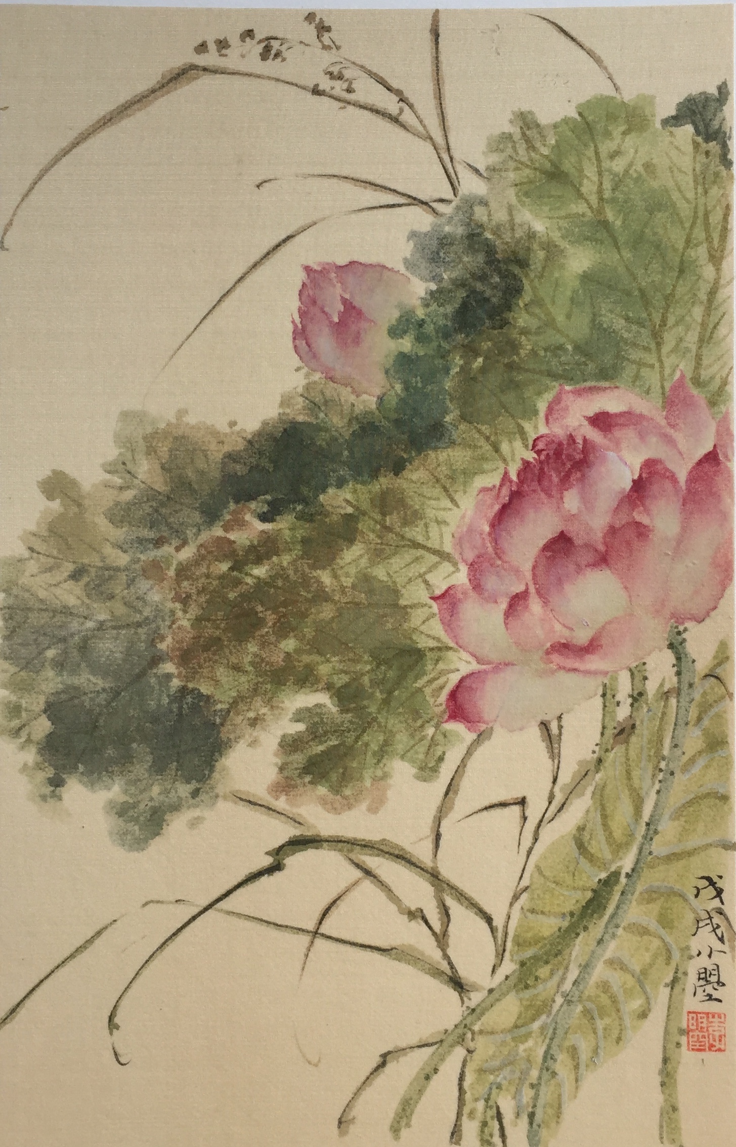 春夏清赏册__荷塘清远18cmx28cm