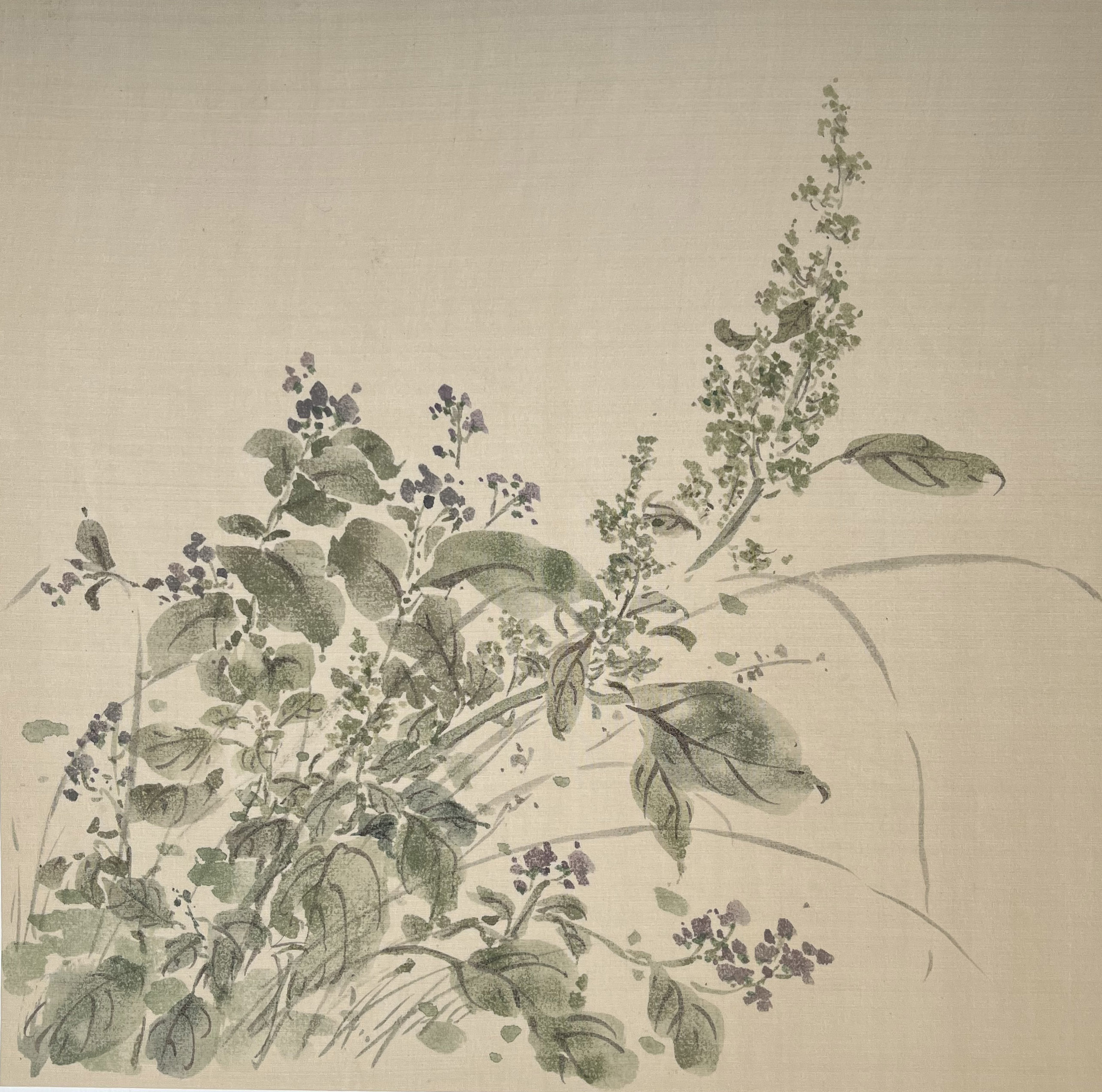 齐云山花之五45cmx45cm