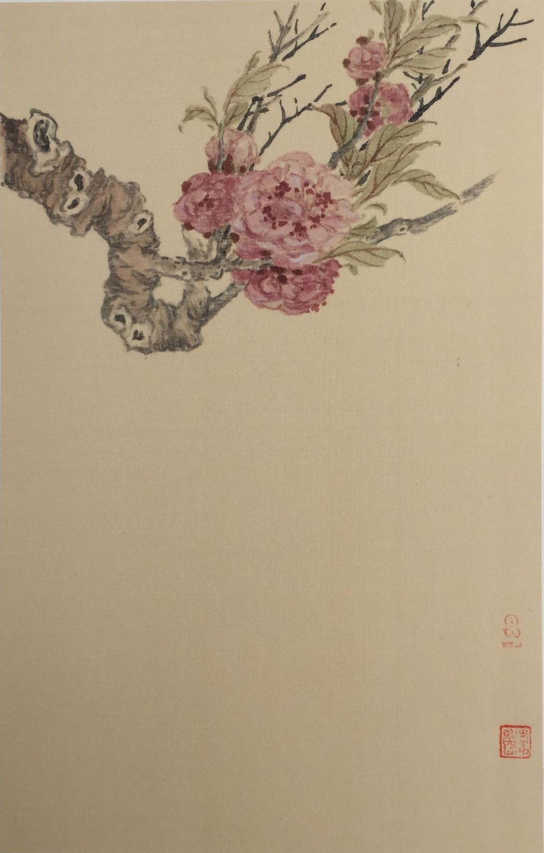 碧桃：天上栽和露18cmx28cm