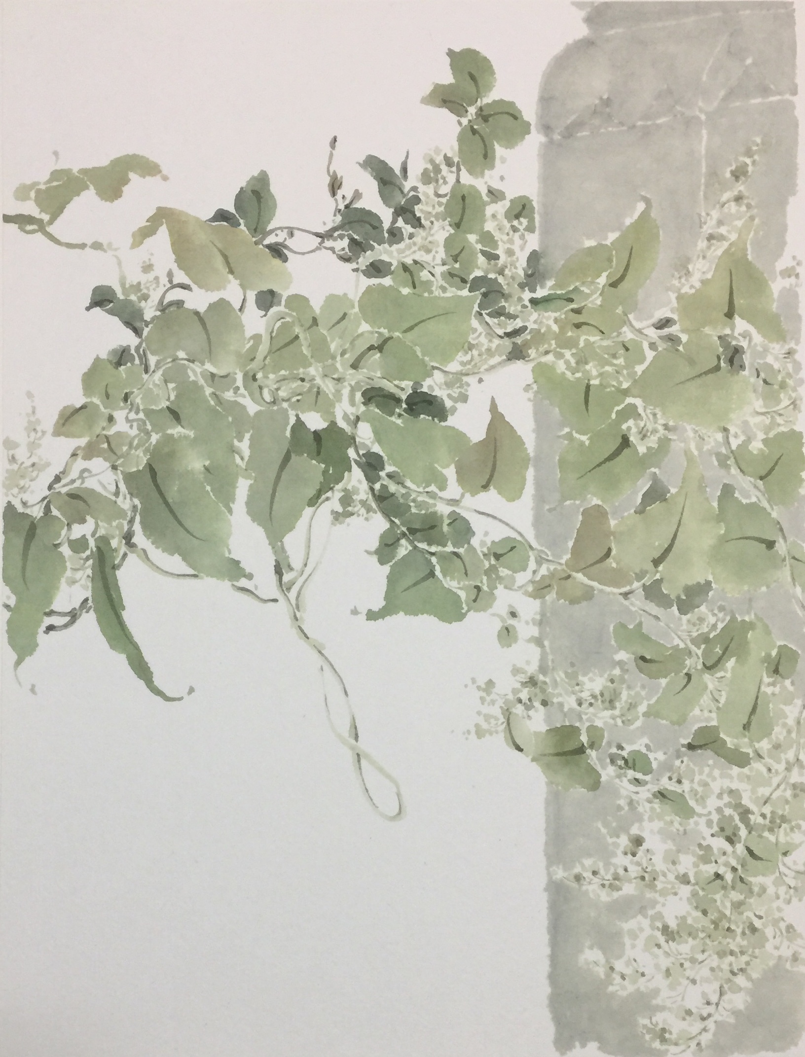 齐云写生——绿55cmx40cm