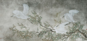 白云.生处