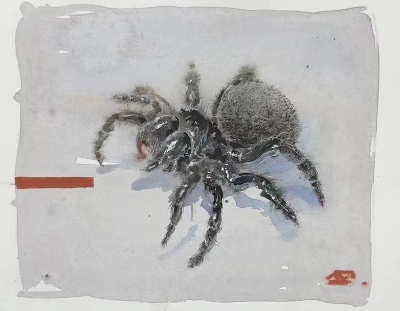 昆虫2