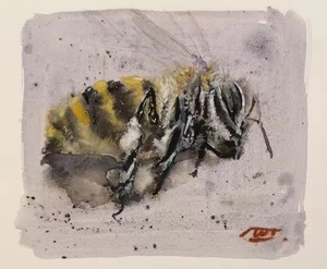昆虫3