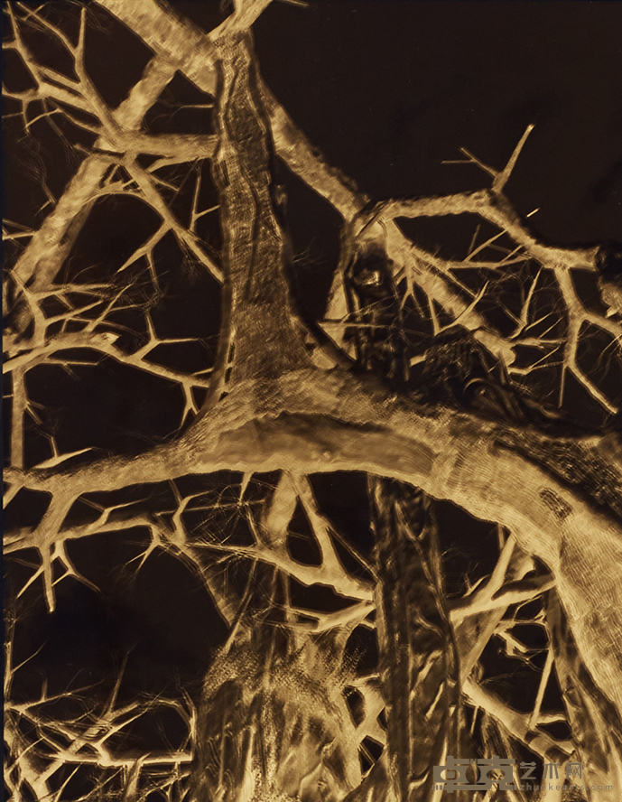 潜影 No.15, Latent Image No.15，木头、灯箱、胶片 Wood,Light box,Film，装置尺寸 Size 50x40x39.8cm，画面尺寸 Size20.3x25.4cm，2023 （画面）