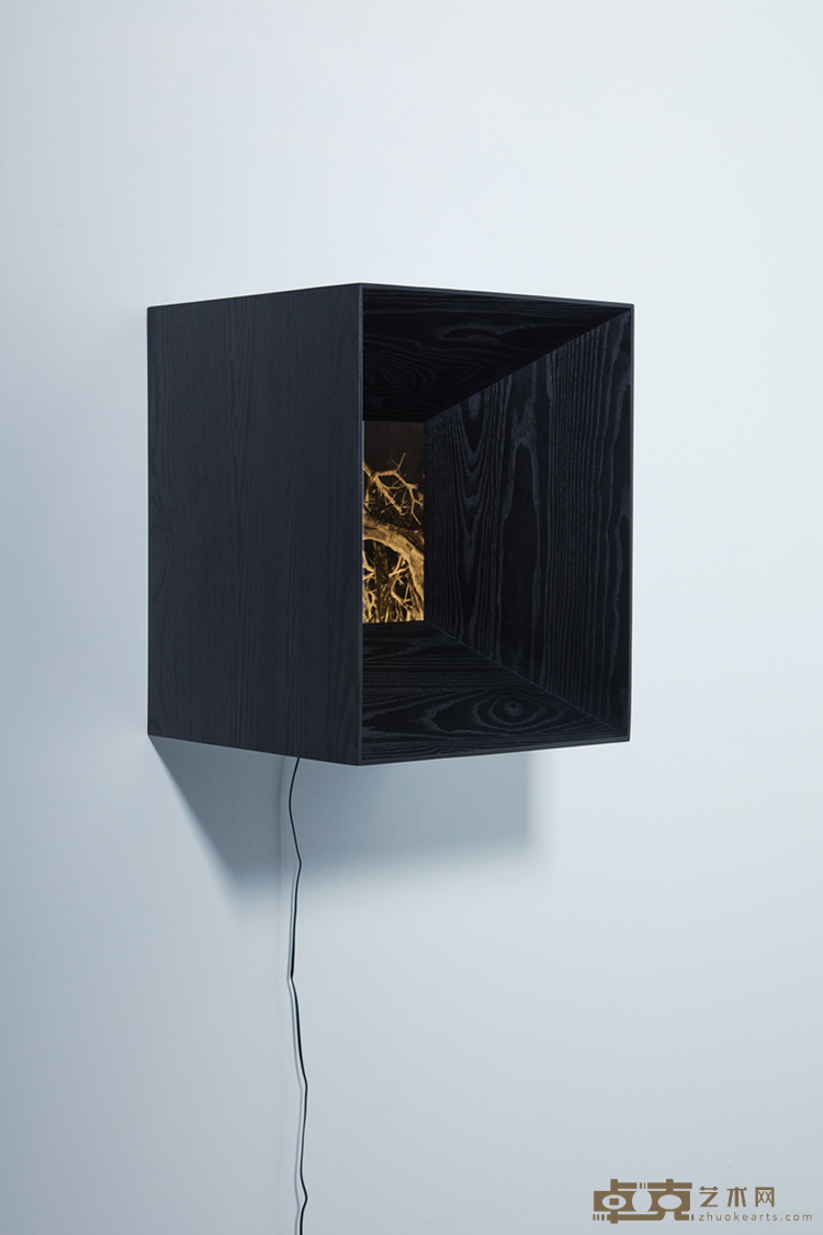 潜影 No.15, Latent Image No.15，木头、灯箱、胶片 Wood,Light box,Film，装置尺寸 Size 50x40x39.8cm，画面尺寸 Size20.3x25.4cm，2023 （装置侧面）