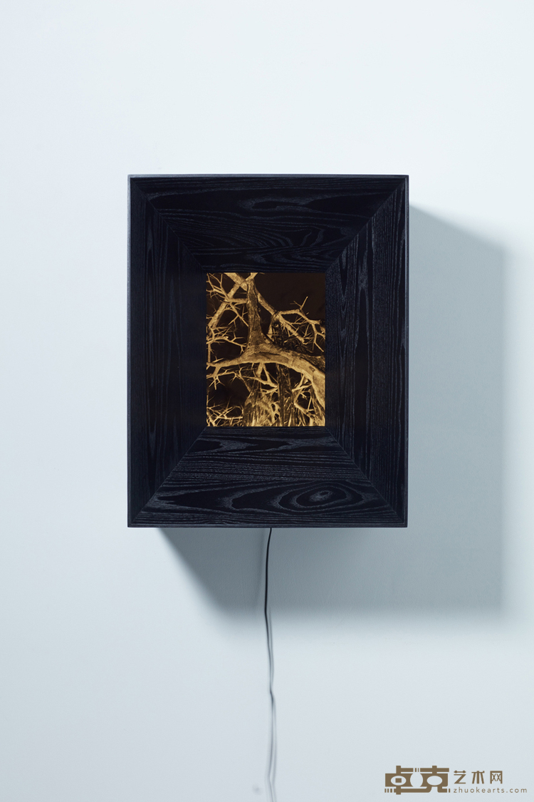 潜影 No.15, Latent Image No.15，木头、灯箱、胶片 Wood,Light box,Film，装置尺寸 Size 50x40x39.8cm，画面尺寸 Size20.3x25.4cm，2023 （装置正面