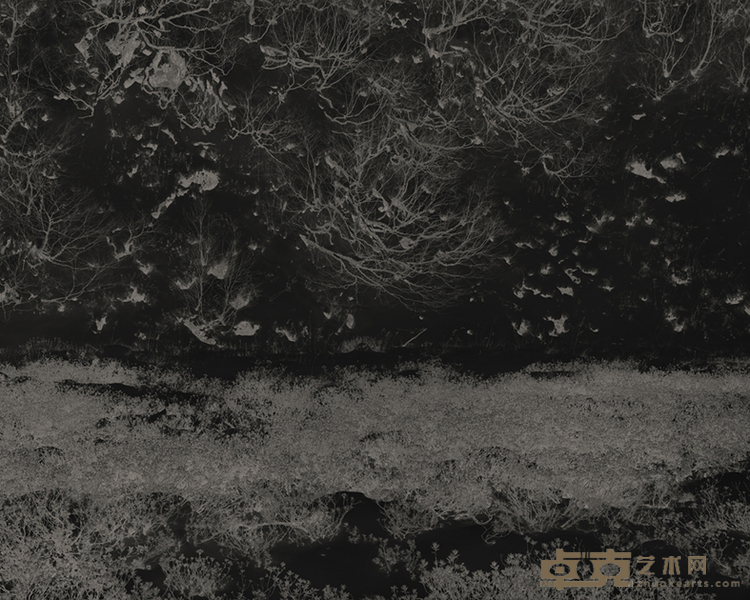 傅百林，玄林NO.11,Tree No.11,2022,水墨手工染色Chinese Ink,Paper Hand Dyeing，240x300cm