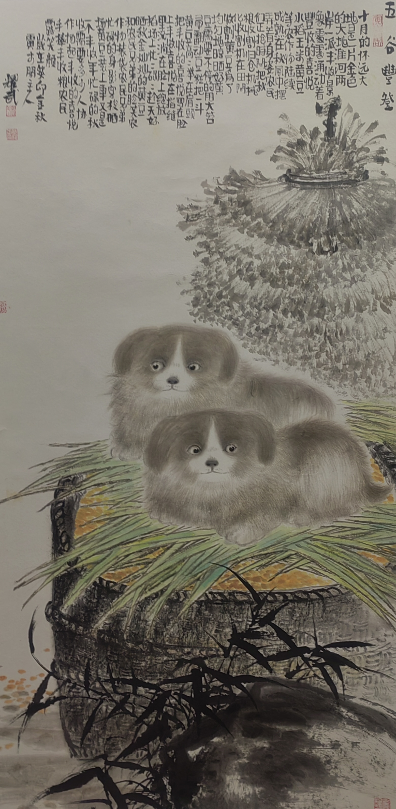 新作5