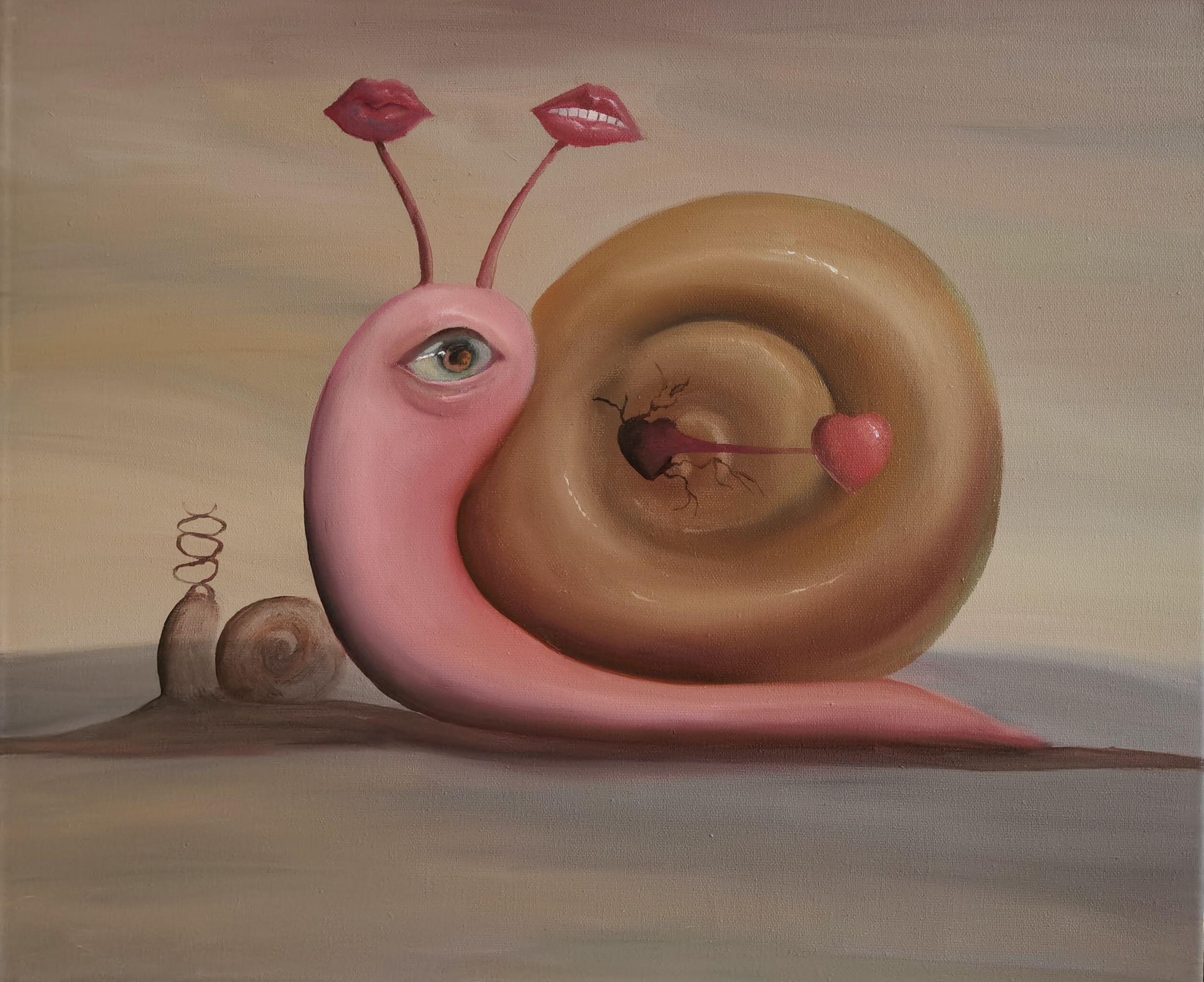 小蜗50×60 cm