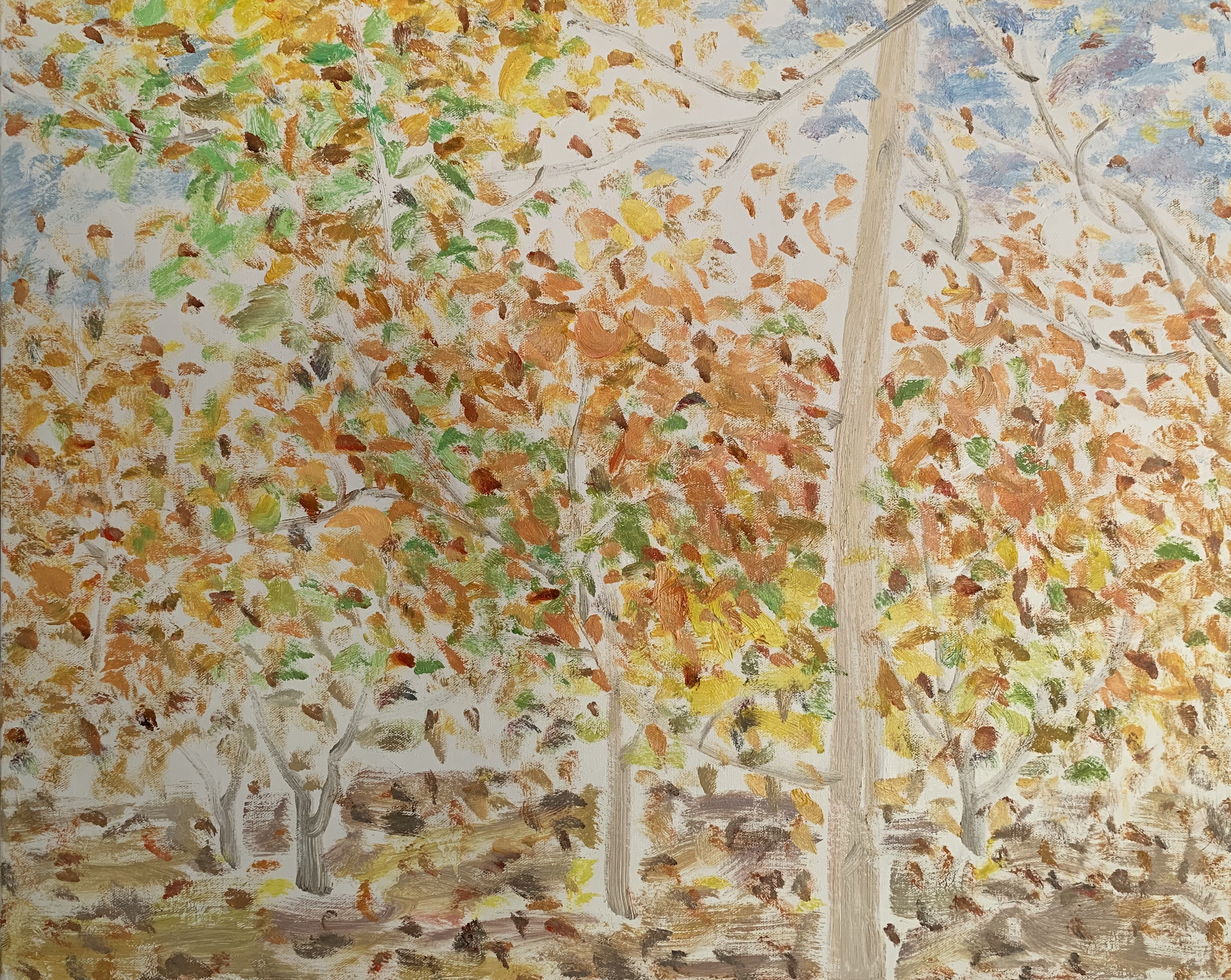 秋韵系列No.47100x80cm