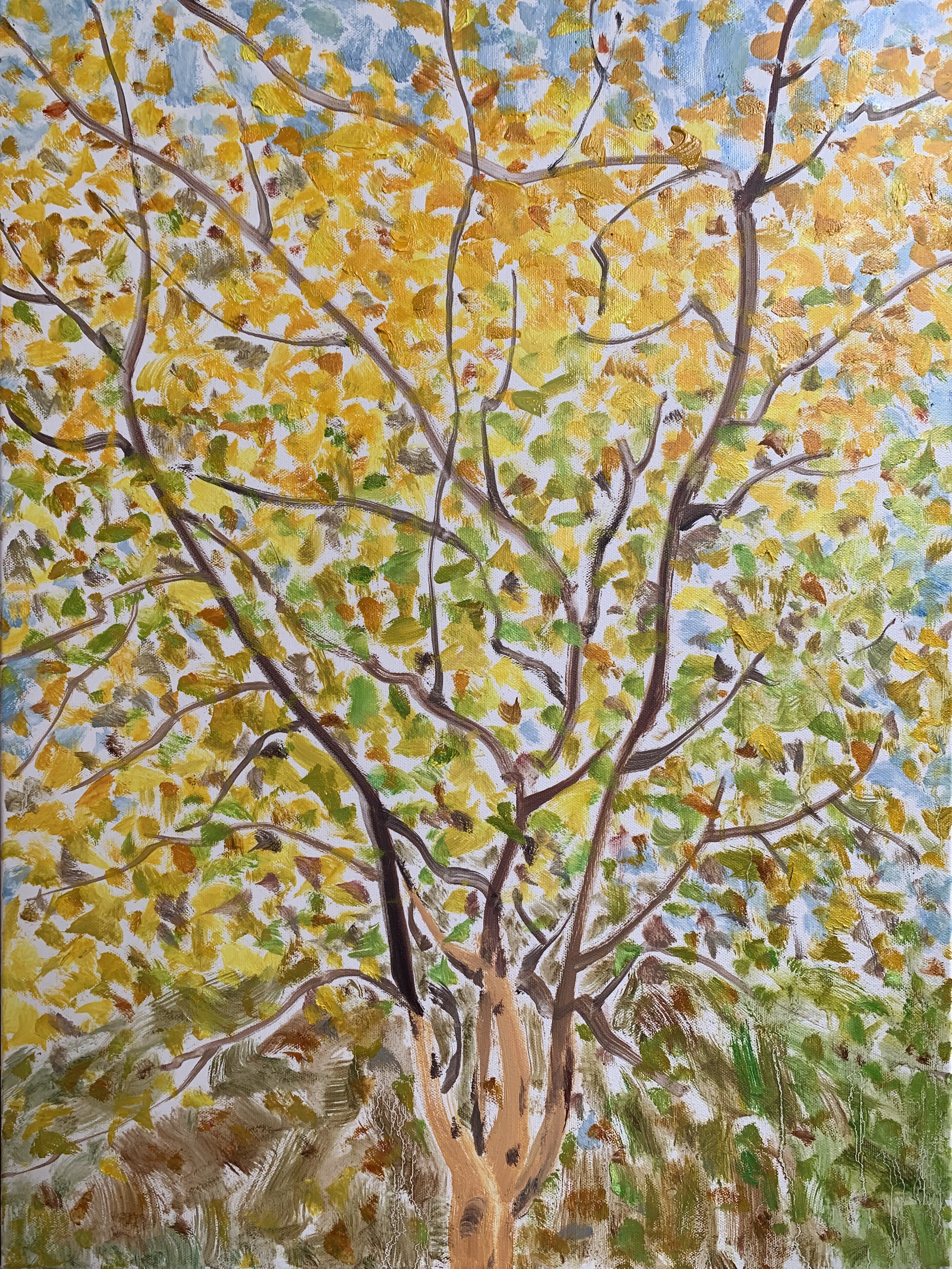 秋韵系列No.3780x60cm