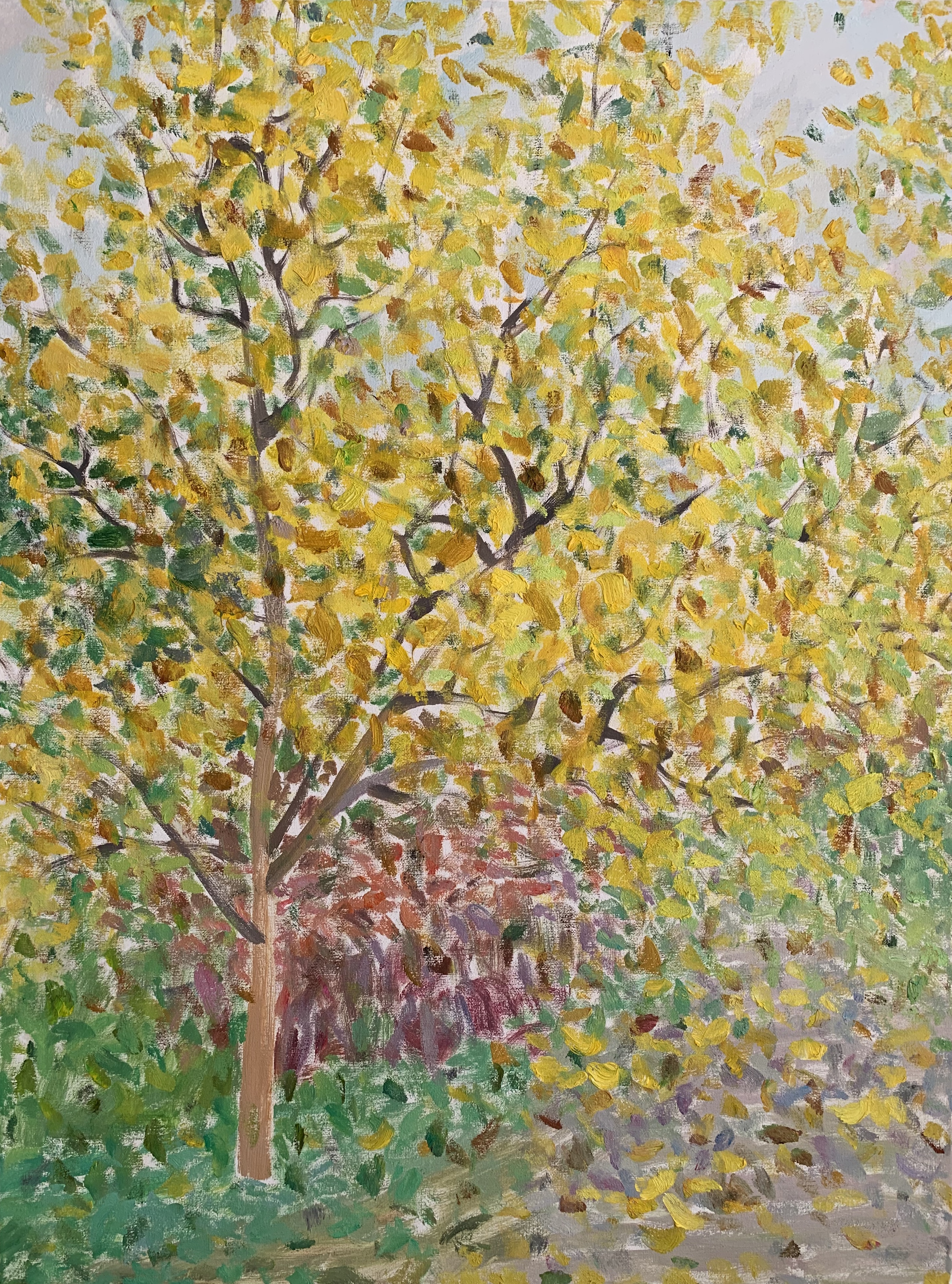 秋韵系列No.3480x60cm