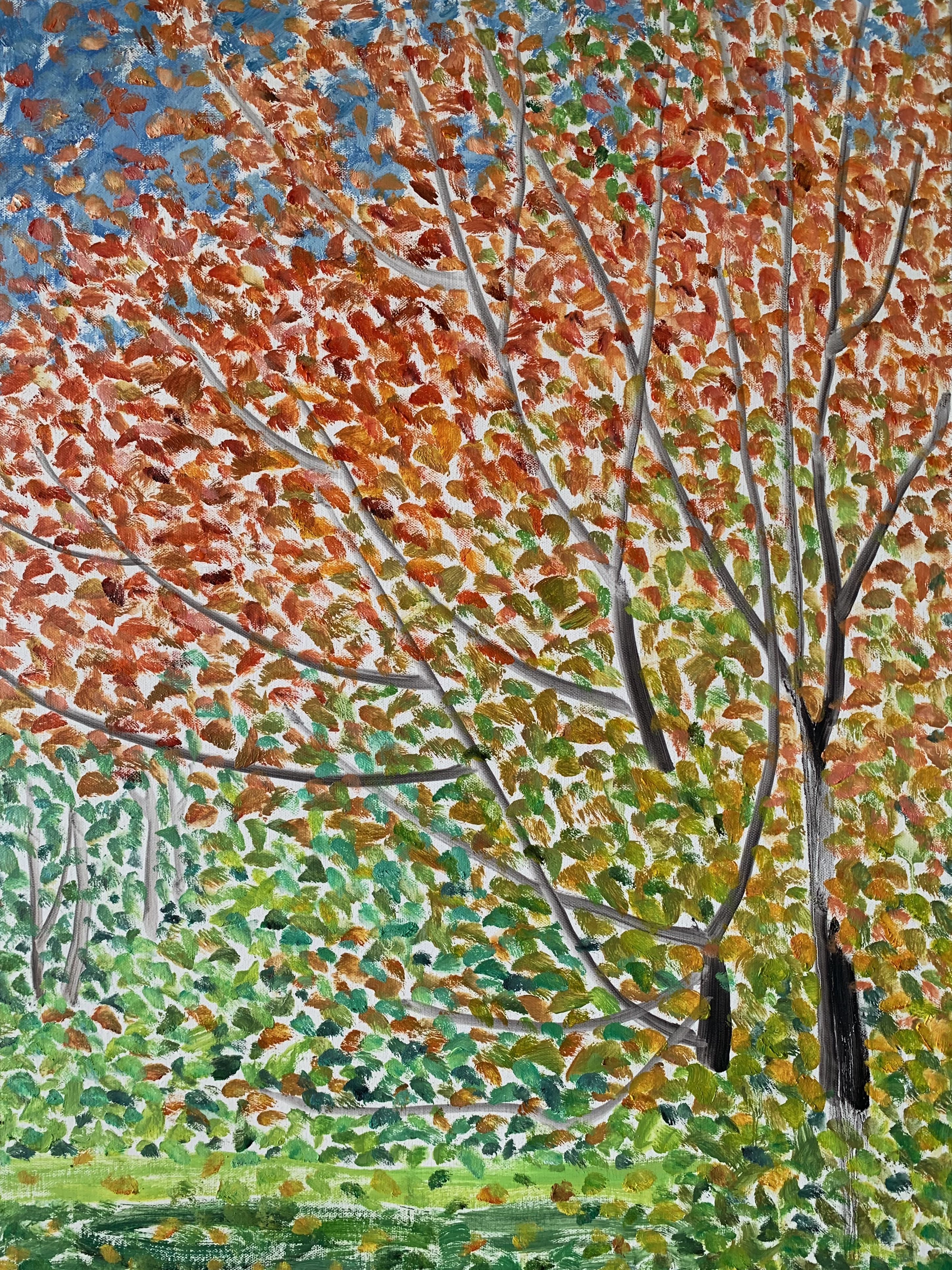 秋韵系列No.6680x60cm