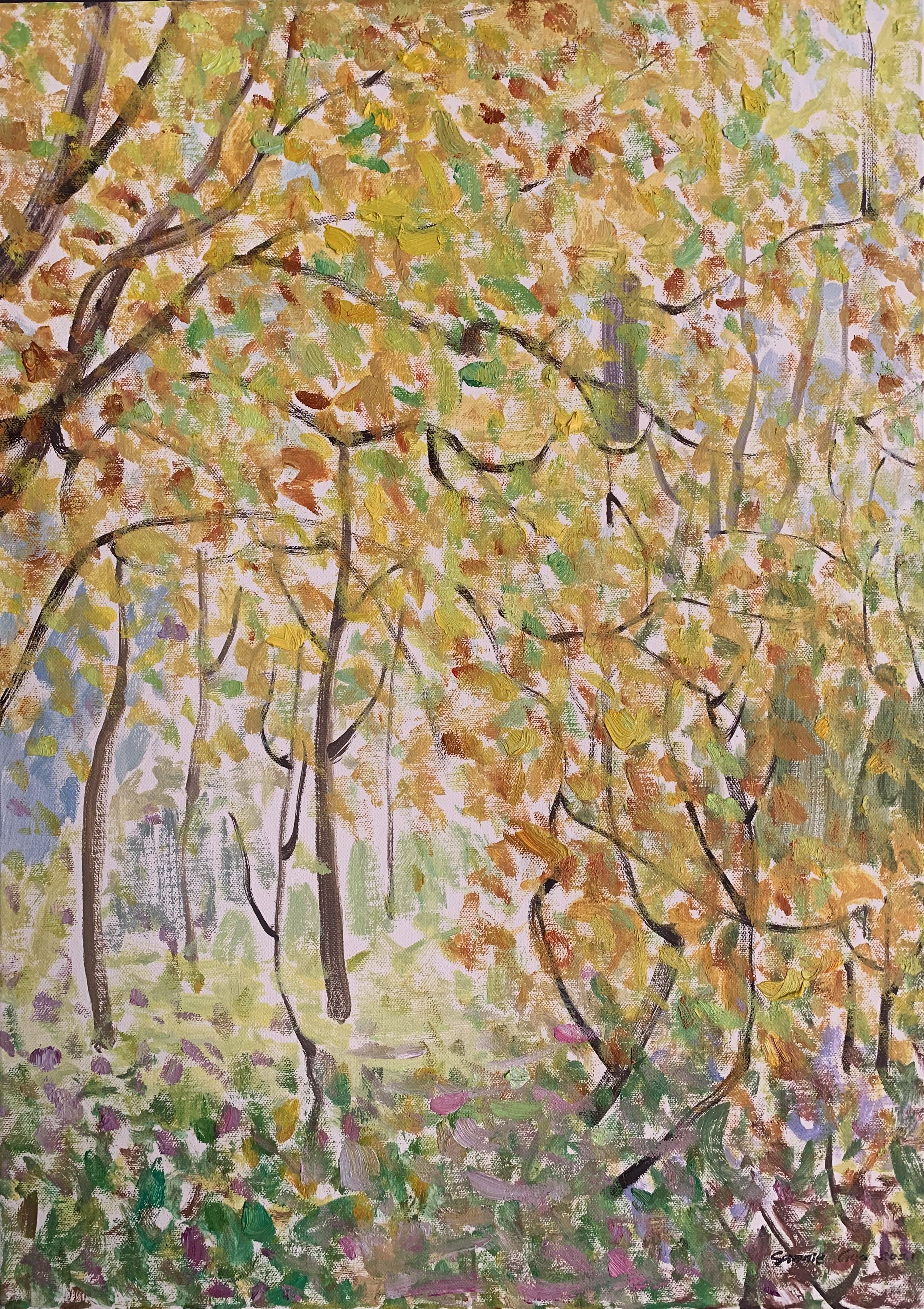 秋韵系列No.43101x50cm