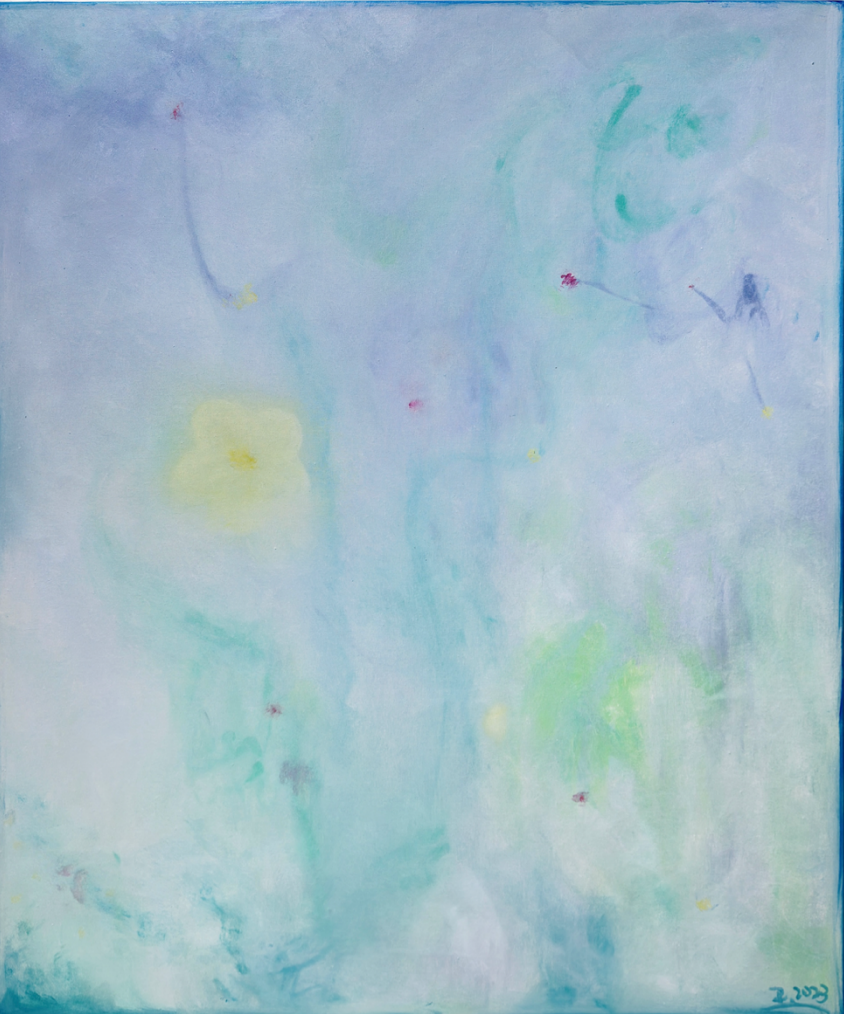 如梦系列2450×60cm