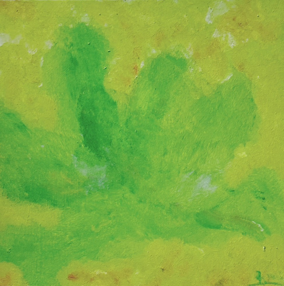 绽放系列635x35cm