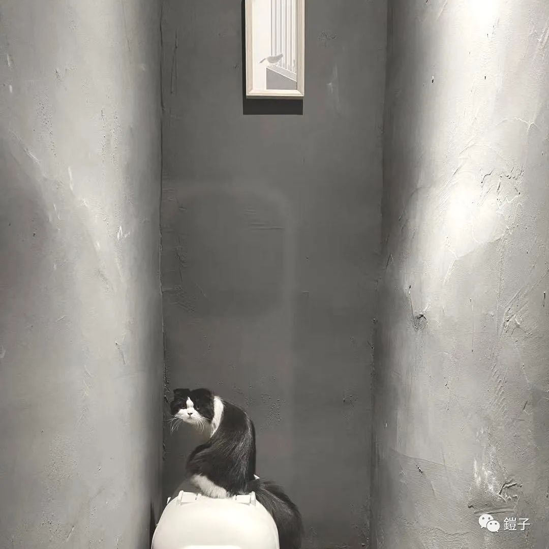 图片 16