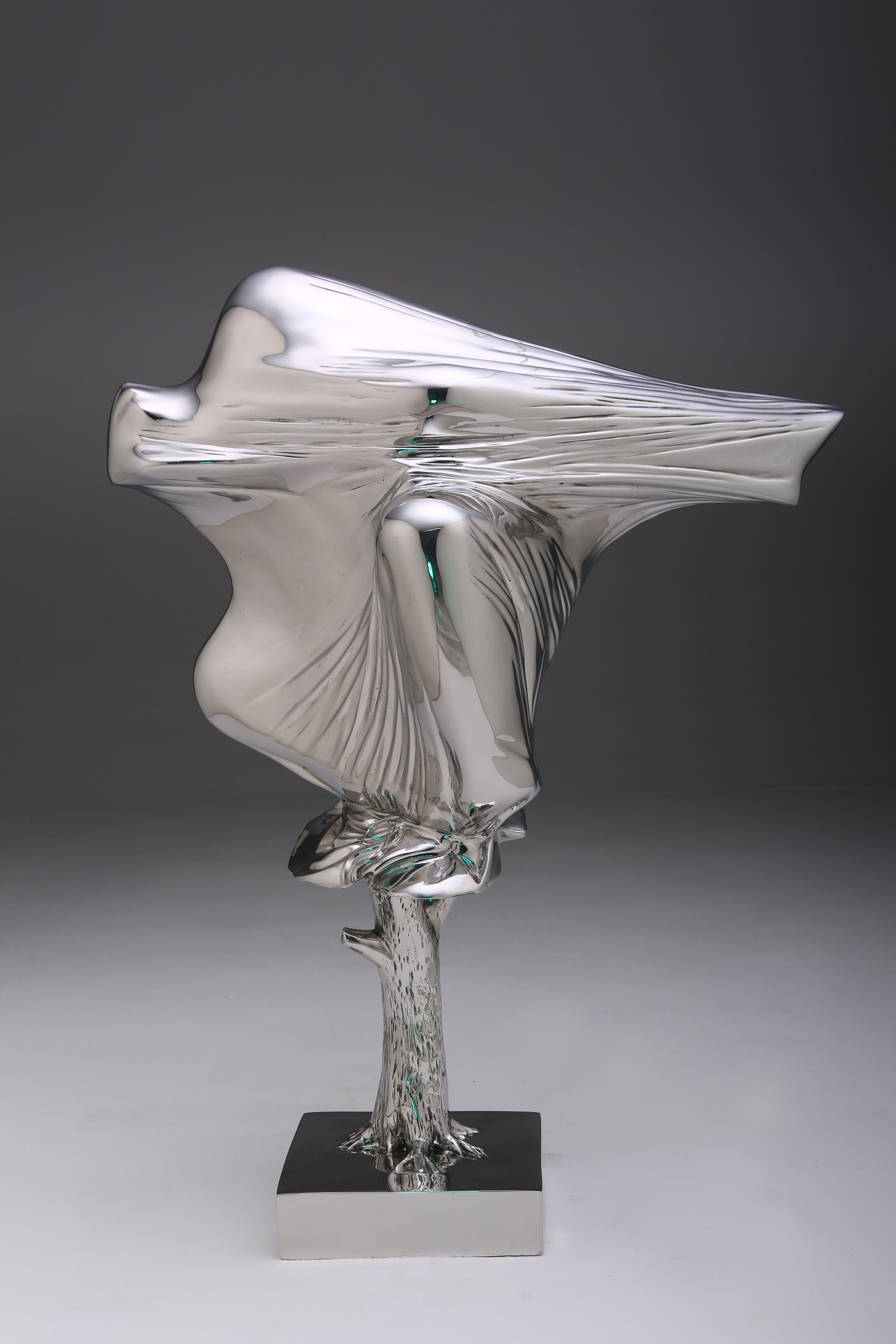 冬藏55×30×70cm