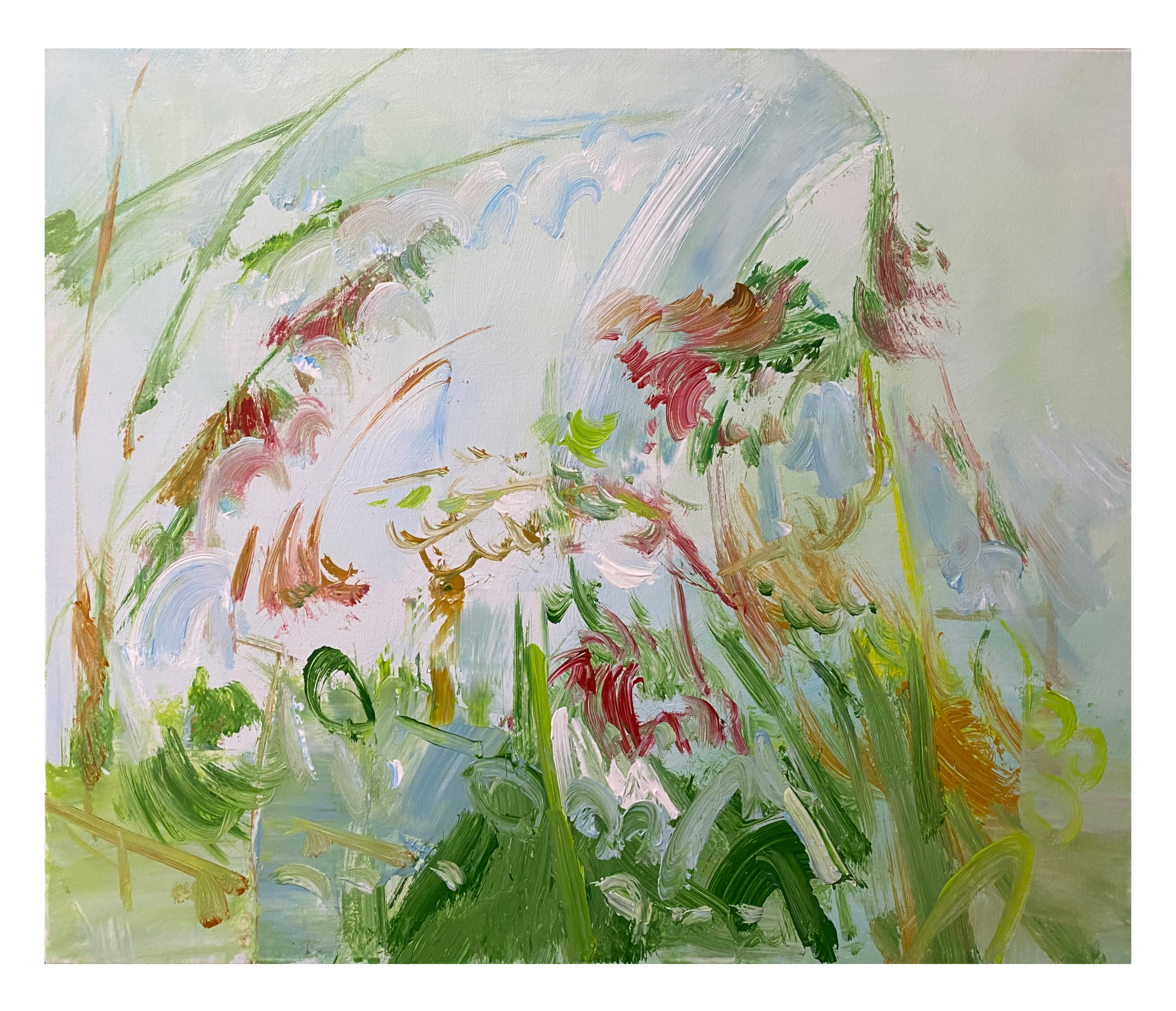 《许诺给精灵的花园之八》60×50cm