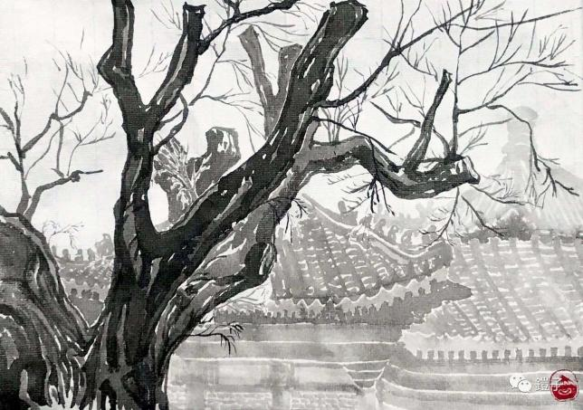 孤27.0x19.0cm