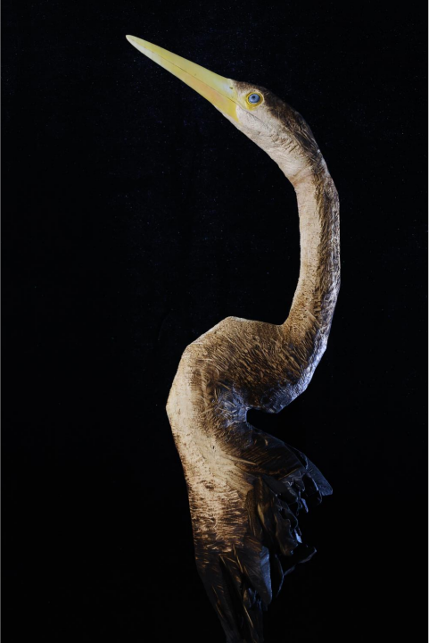 目瑙纵歌——黑腹蛇鹈30x25x165cm  （底座高度可变）