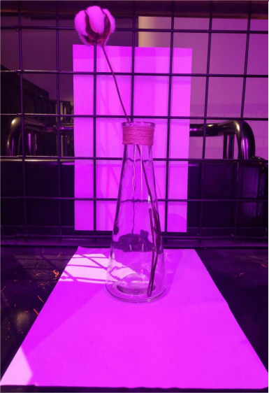 格160m^2×5m