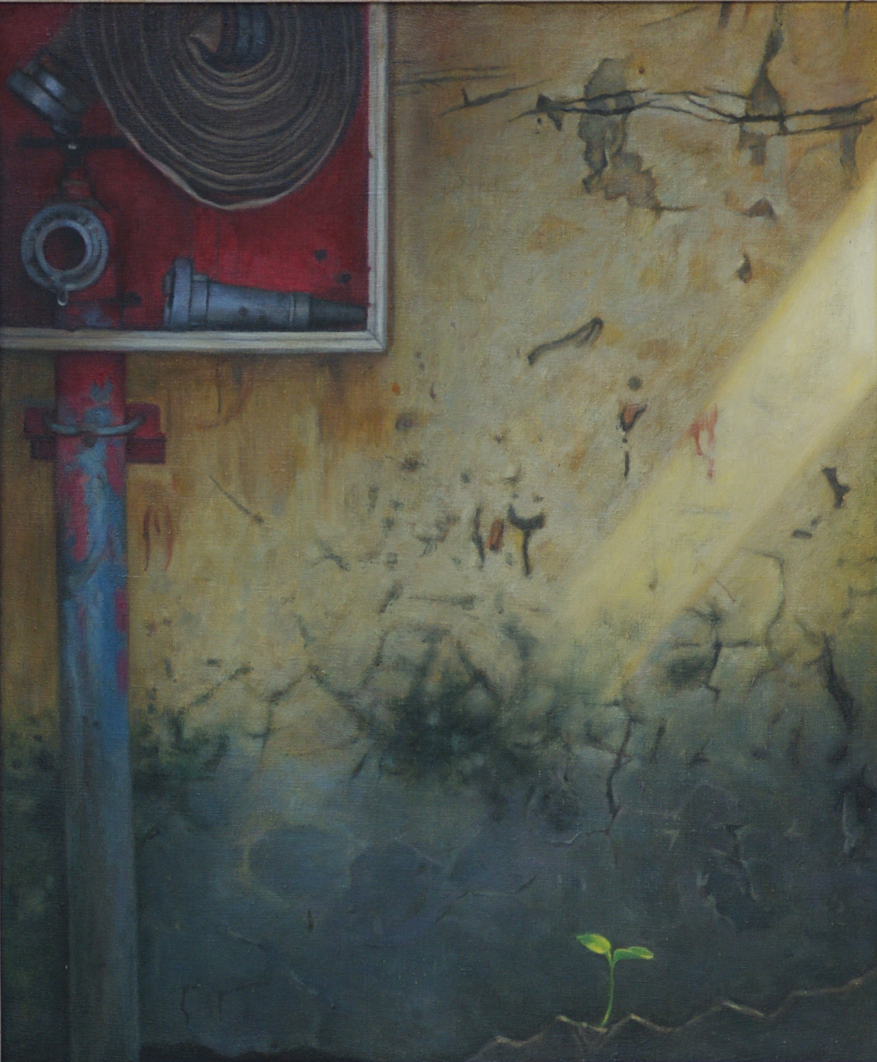角落50x60cm