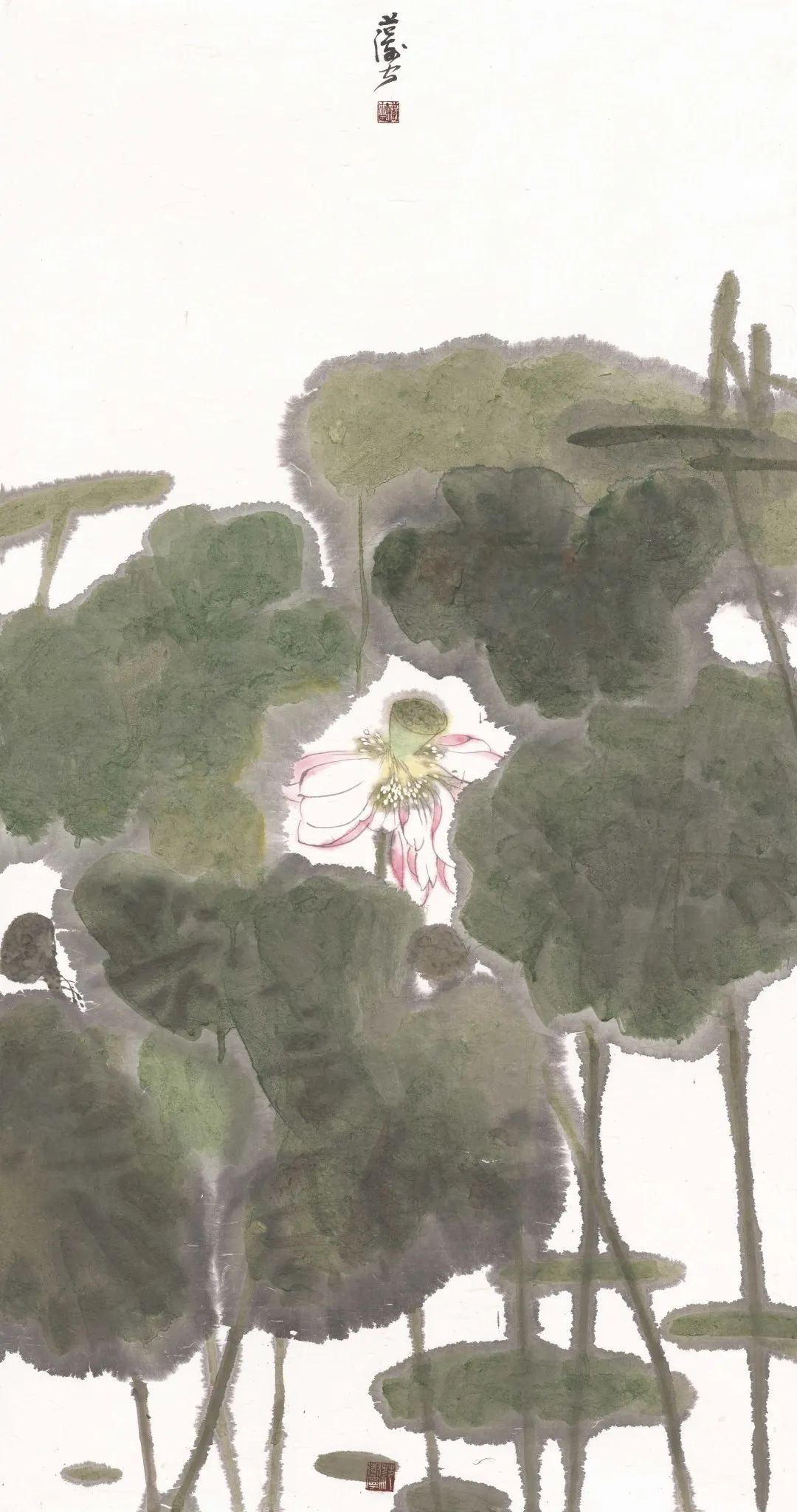 亭亭玉立143x76cm