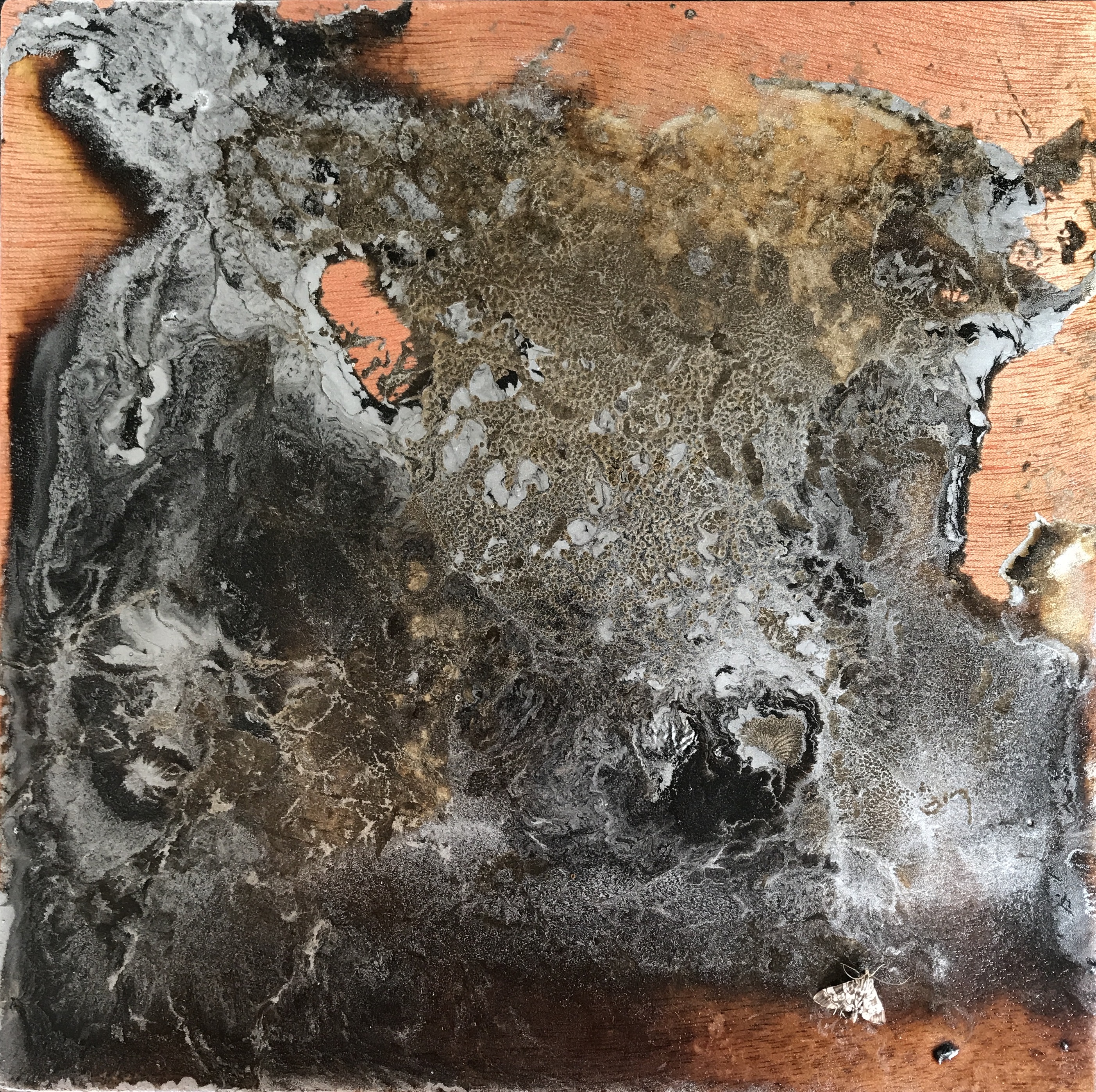 万象20×20cm