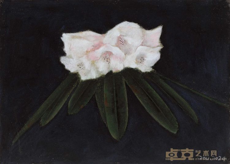 《花flower》 53x38cm 纸本色粉Paper natural powder 2024