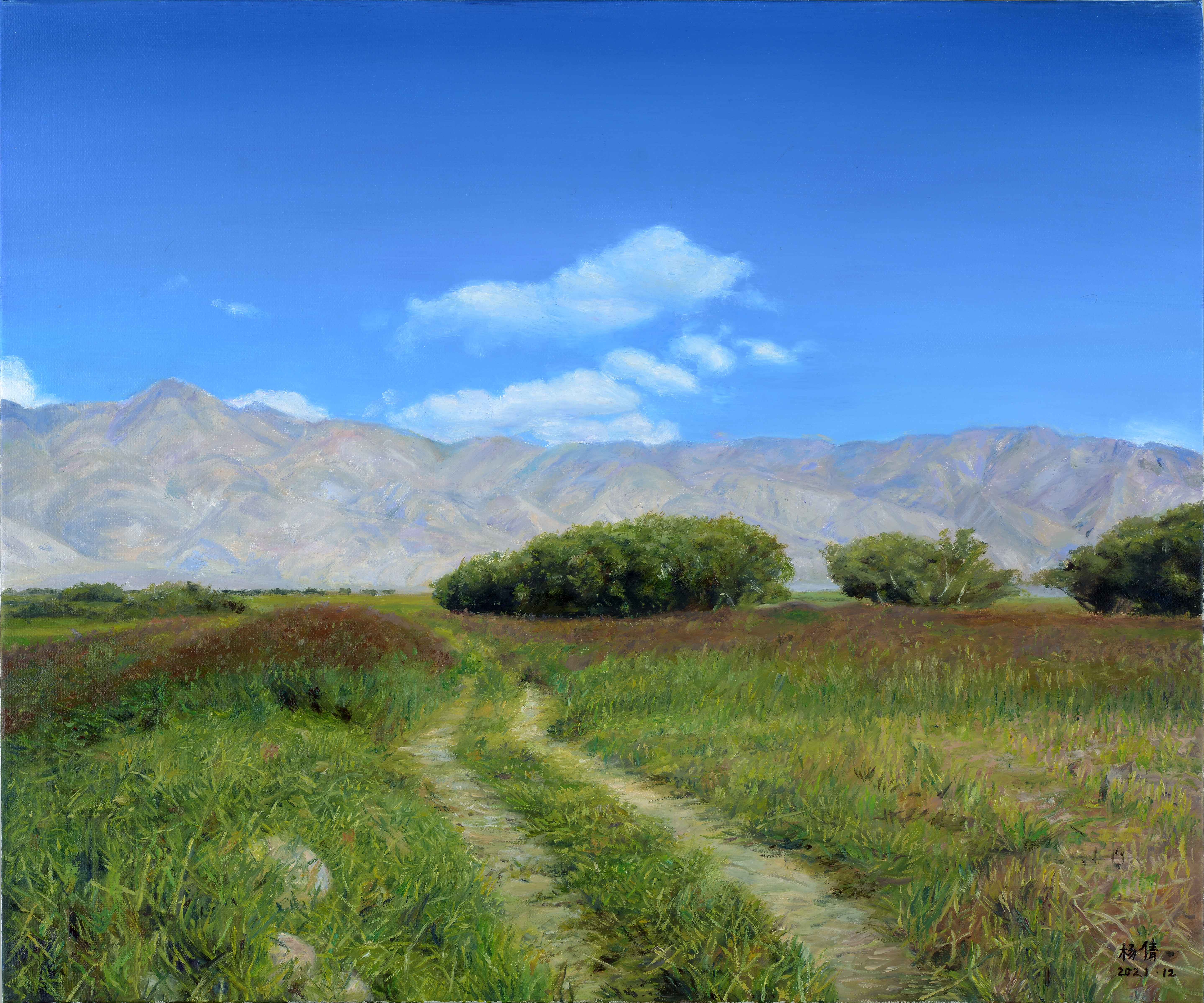 塔合曼之辙50×60cm