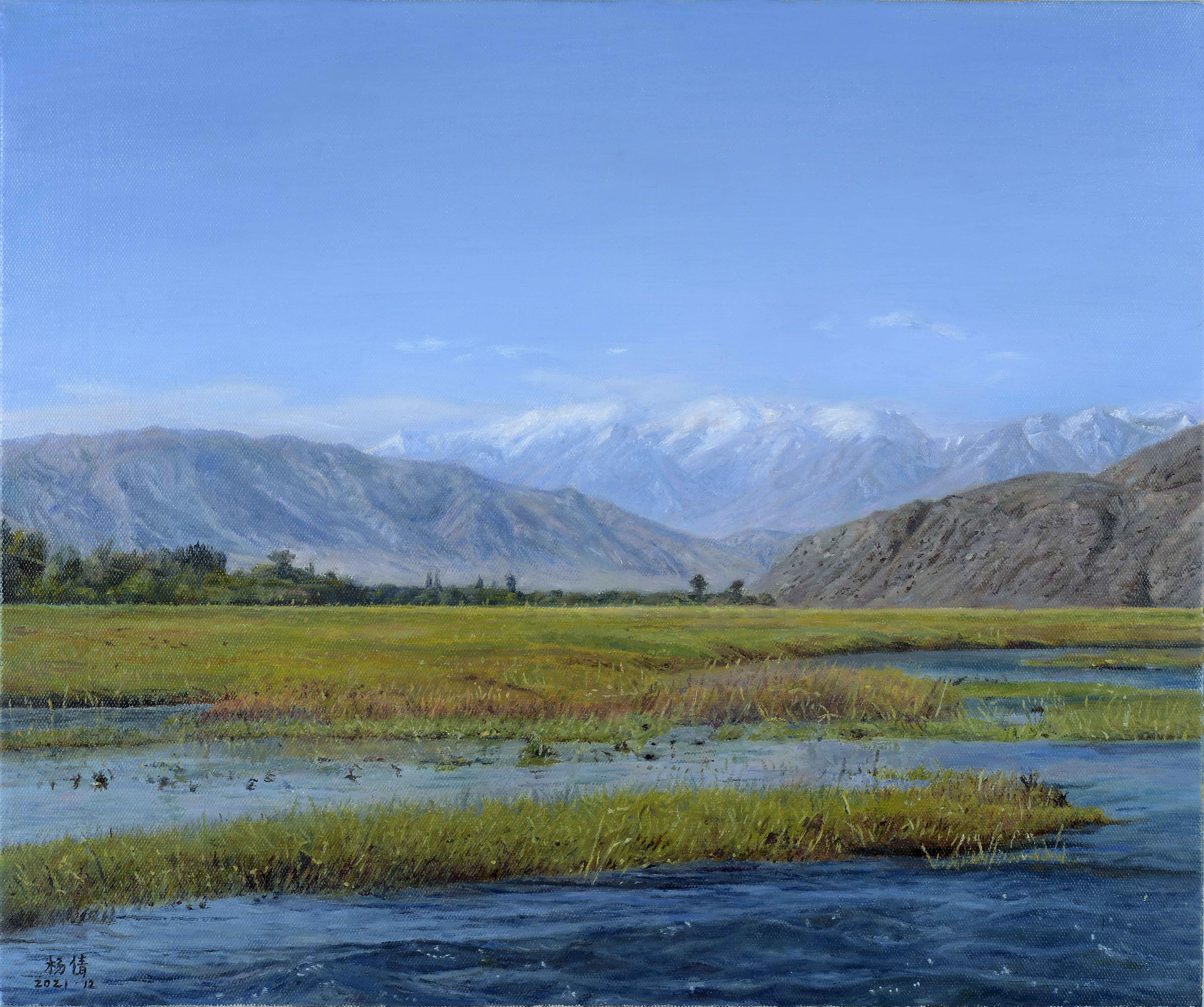 帕米尔湿地50×60cm