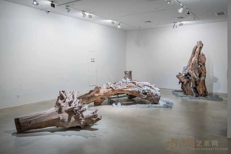 沈远《延长的根》，树根、乐⾼砖块，960 × 500 × 260 cm，2005-2023