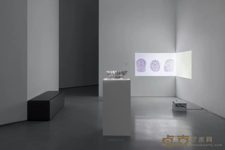 图片 13