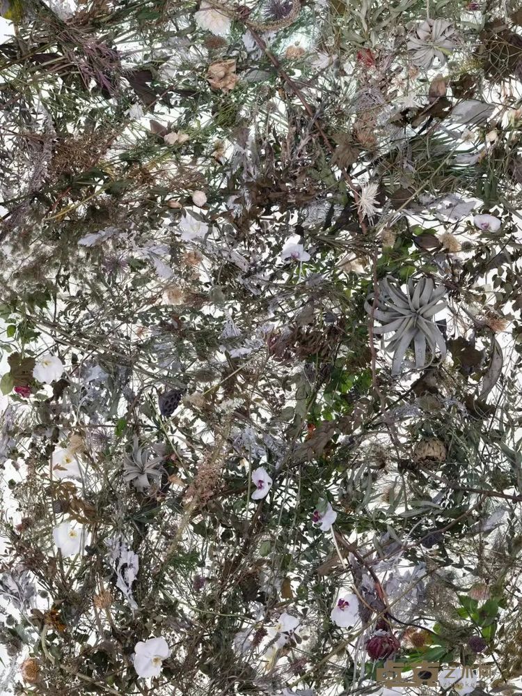 计洲忍冬2,2021灯箱, UV打印,200x150cm