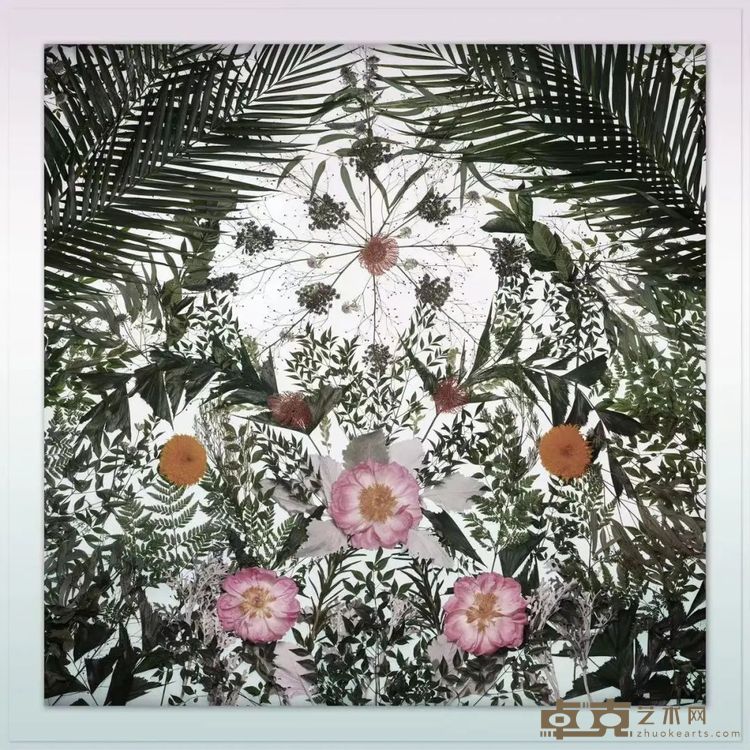计洲花开富贵,2021艺术微喷,150x150cm