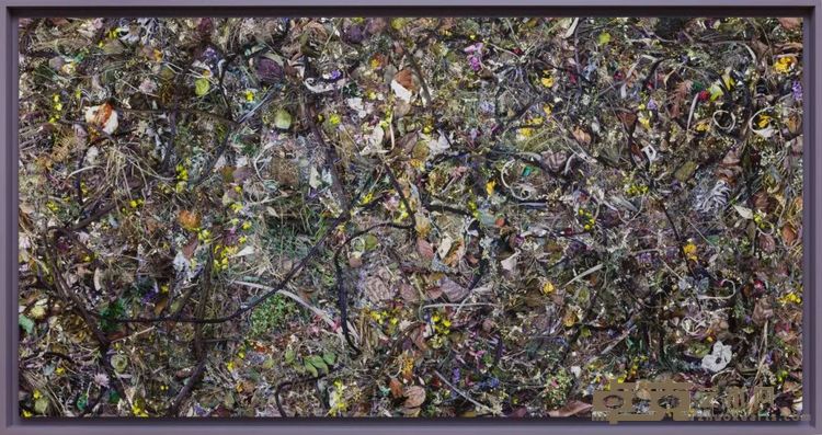 计洲四季,2023艺术微喷,132x250x8cm