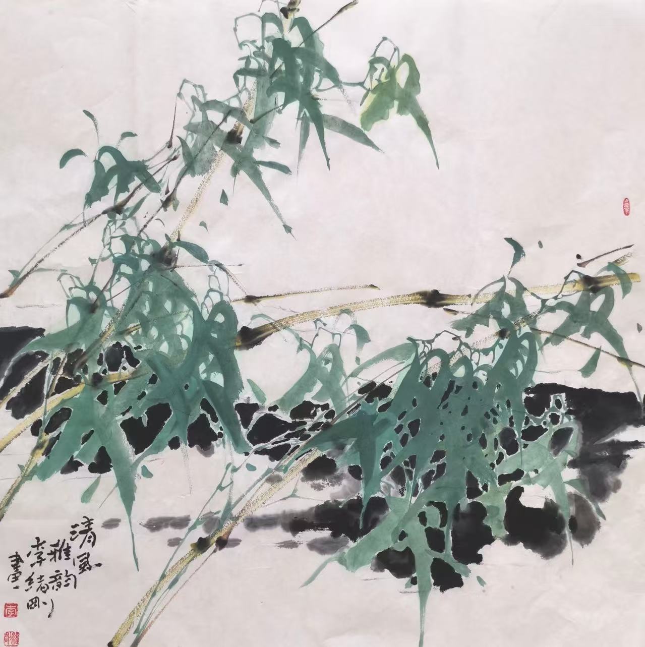 清风雅韵
